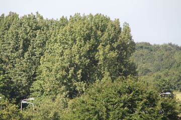RES-IMG 2818