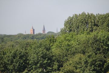 RES-IMG 2819