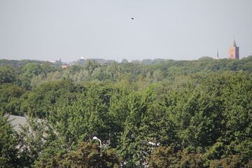 RES-IMG 2820