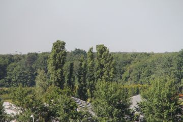 RES-IMG 2822