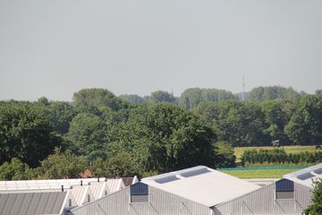 RES-IMG 2824