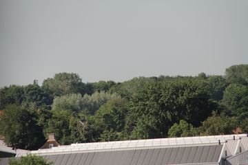 RES-IMG 2825