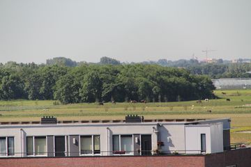 RES-IMG 2830