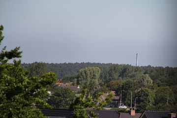 RES-IMG 2839