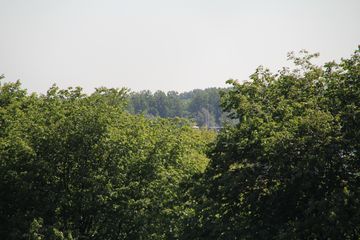 RES-IMG 2859