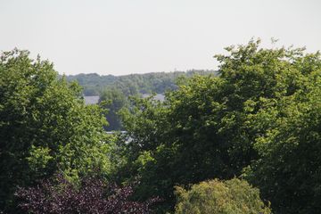 RES-IMG 2860