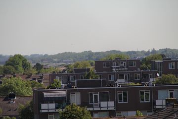 RES-IMG 2865