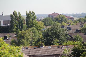 RES-IMG 2866