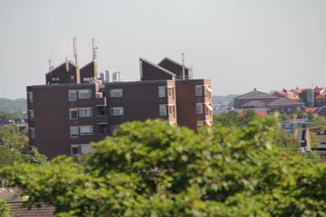 RES-IMG 2869