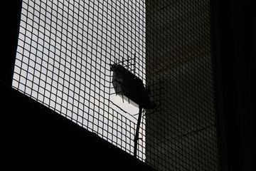 IMG 7204