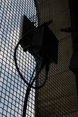 IMG 7218