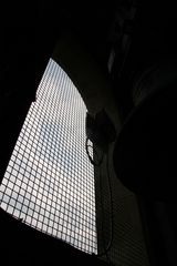 IMG 7222