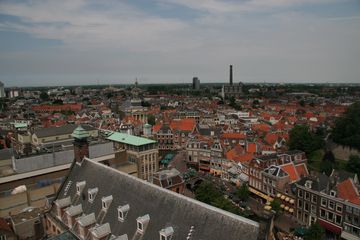 IMG 7235
