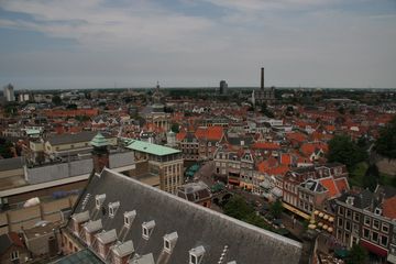 IMG 7236