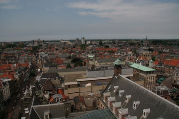 IMG 7237