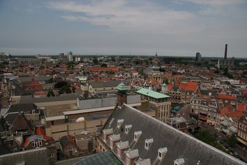 IMG 7238