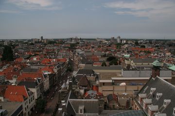 IMG 7239
