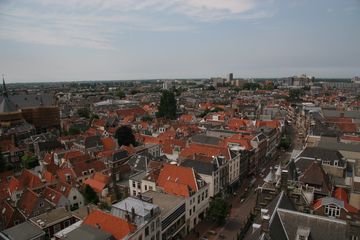 IMG 7240