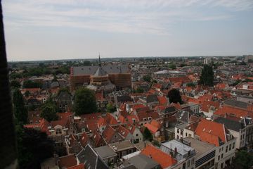 IMG 7241