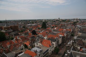 IMG 7243