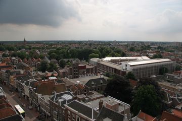 IMG 7250
