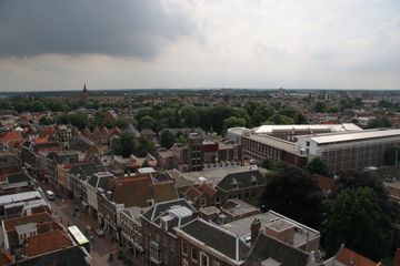 IMG 7253