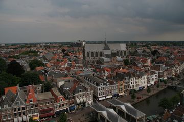 IMG 7259
