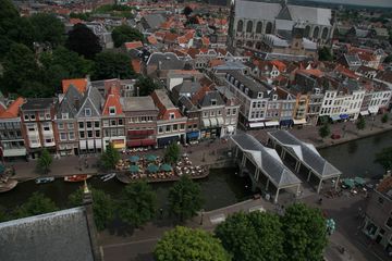 IMG 7261