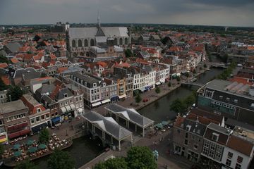 IMG 7262