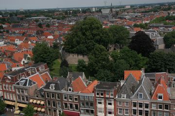IMG 7263