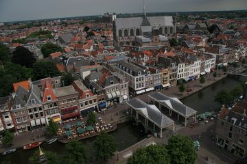 IMG 7265