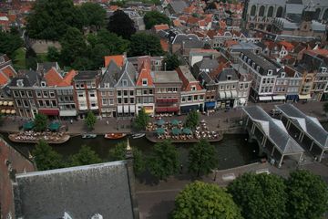 IMG 7266