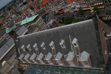IMG 7269