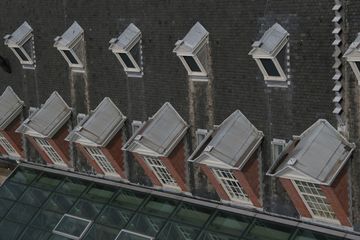 IMG 7270