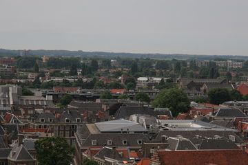 IMG 7284