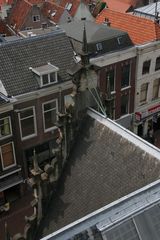 IMG 7305