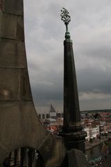 IMG 7307