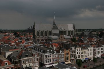 IMG 7309