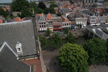 IMG 7312