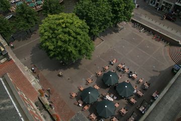 IMG 7314