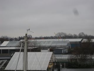 IMG 3916