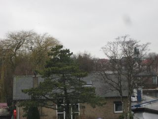 IMG 3926