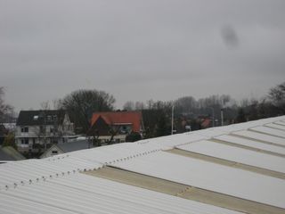 IMG 3929