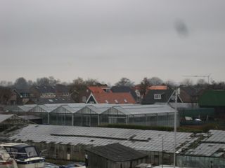 IMG 3931