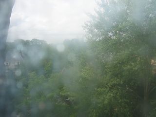 IMG 4123
