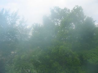 IMG 4124