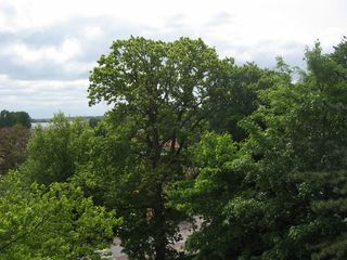IMG 4125