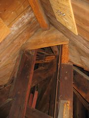 IMG 4126
