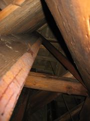 IMG 4128