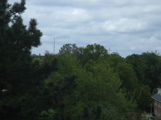 IMG 4134